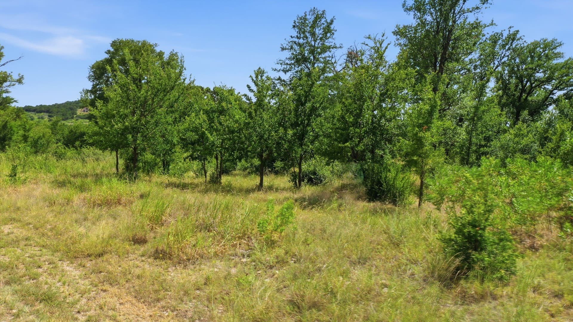 1.03 acres in Palo Pinto County - photo 7