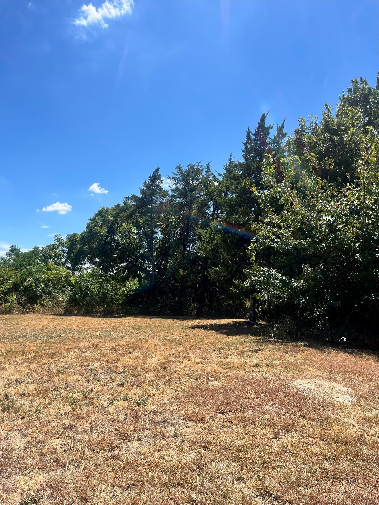 1.44 acres in Dallas County - photo 7