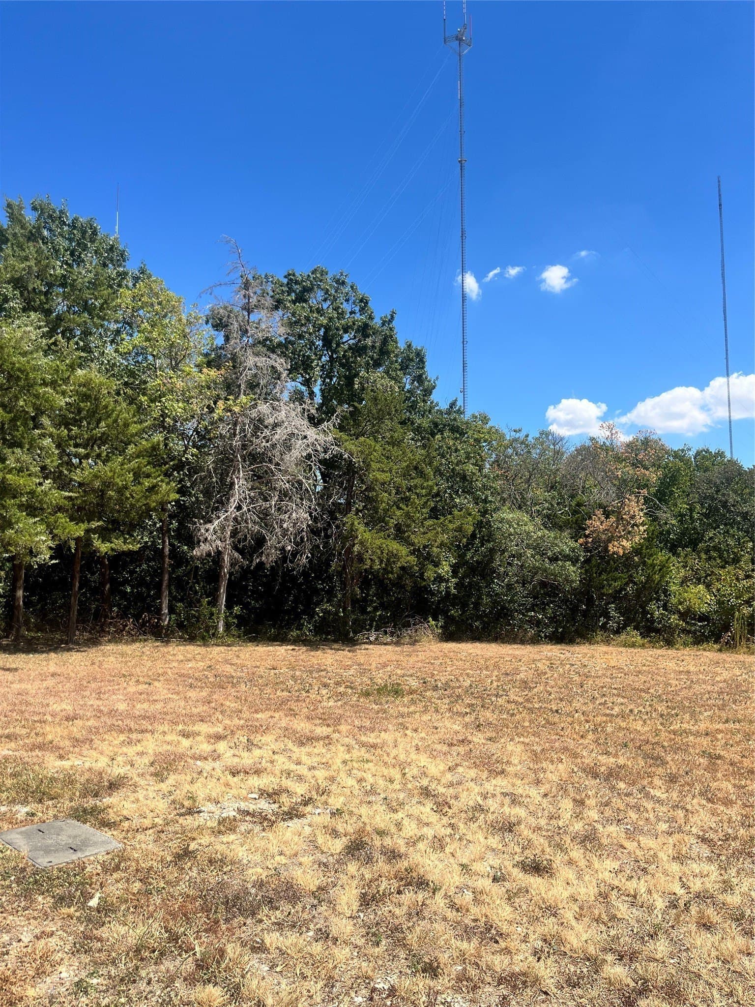 1.44 acres in Dallas County - photo 3