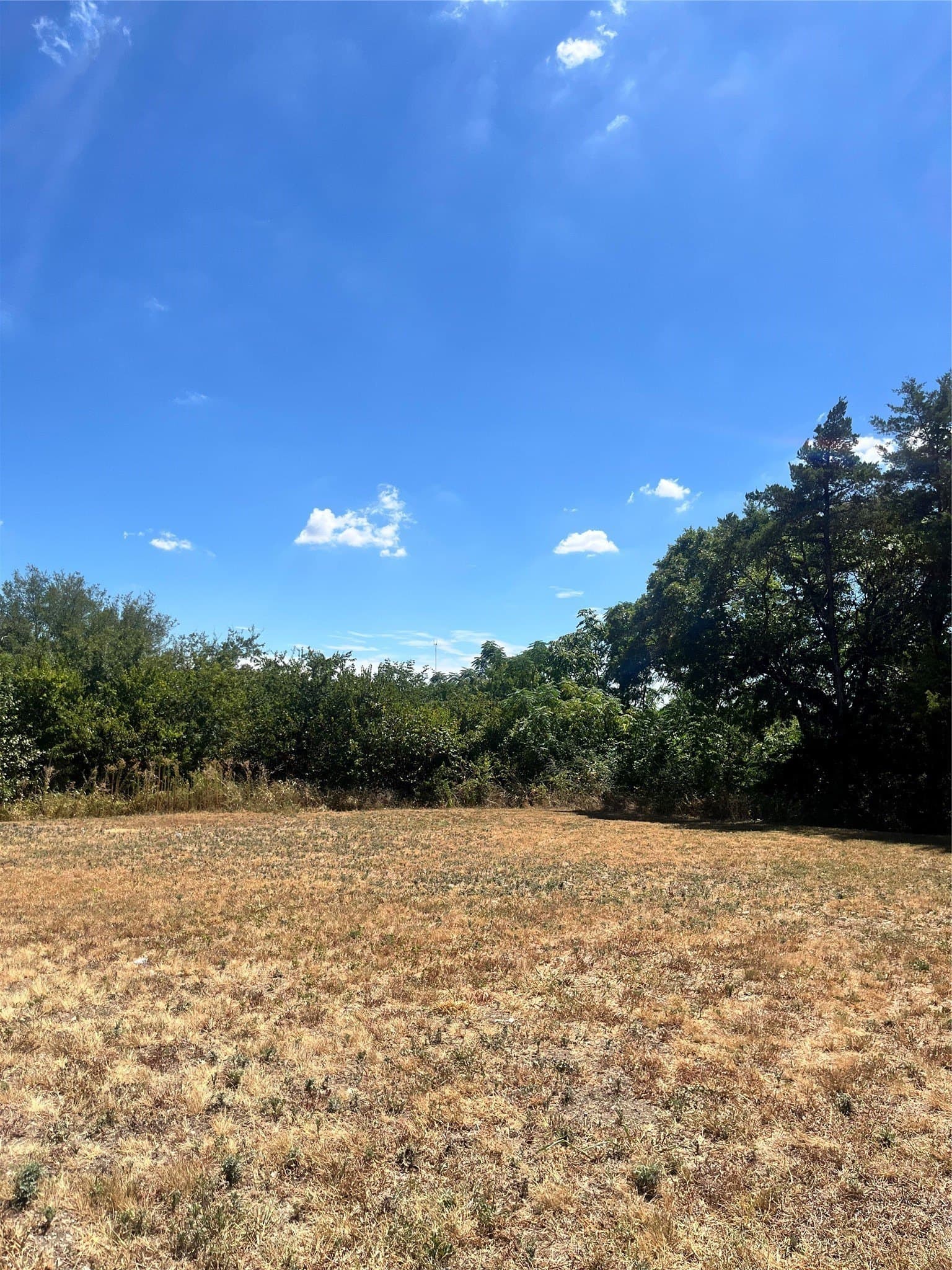 1.44 acres in Dallas County - photo 6