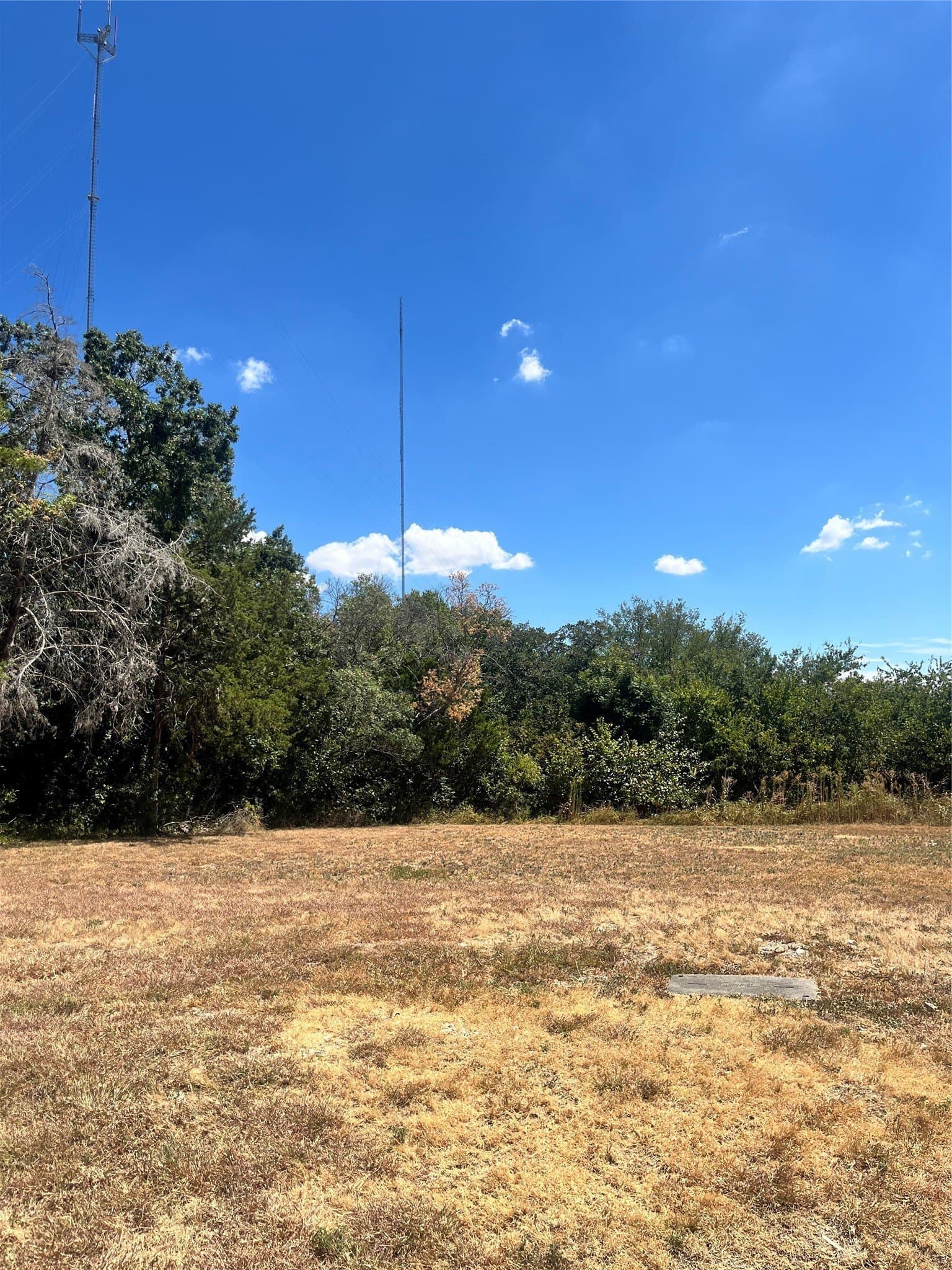 1.44 acres in Dallas County - photo 4
