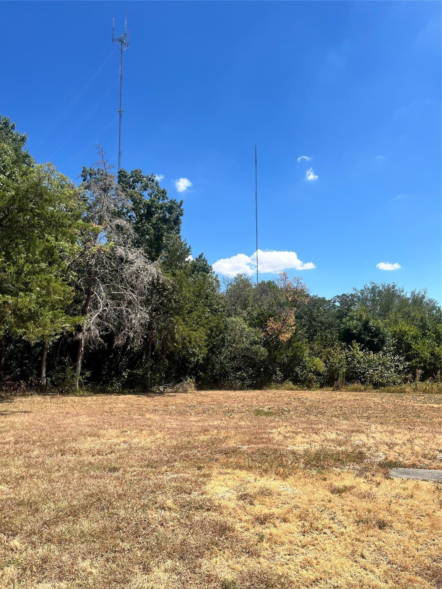 1.44 acres in Dallas County - photo 2