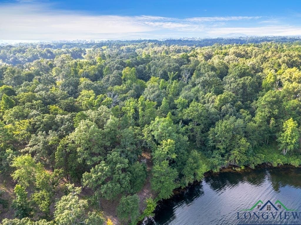 0.8 acres in Upshur County gallery image 2