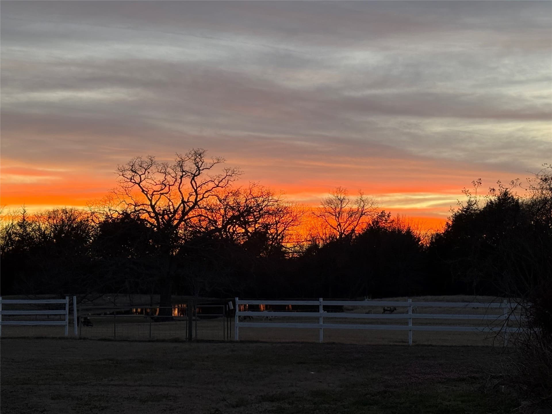 16.5 acres in Fannin County - photo 2