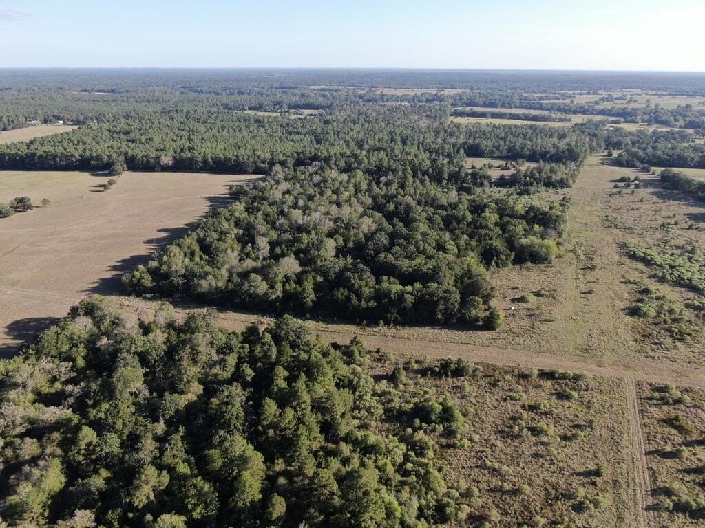 14.75 acres in Texas County - photo 8