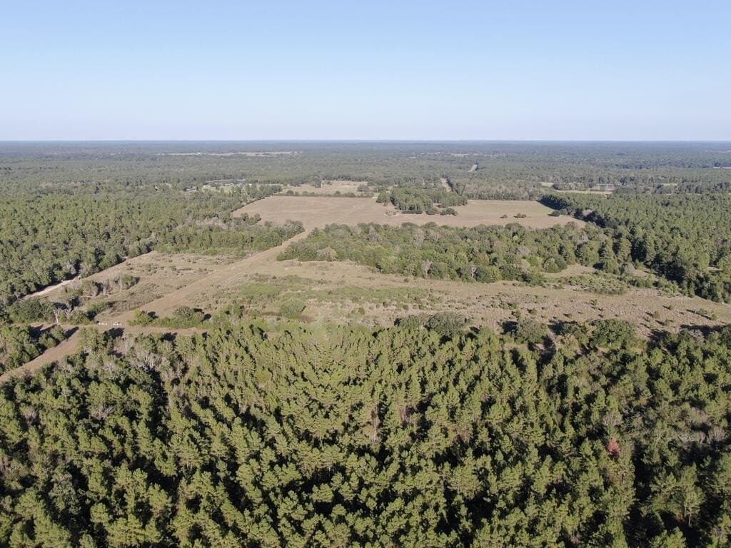 14.75 acres in Texas County - photo 7