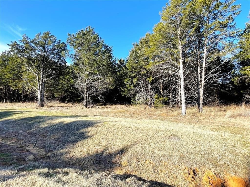0.23 acres in Grayson County gallery image 4