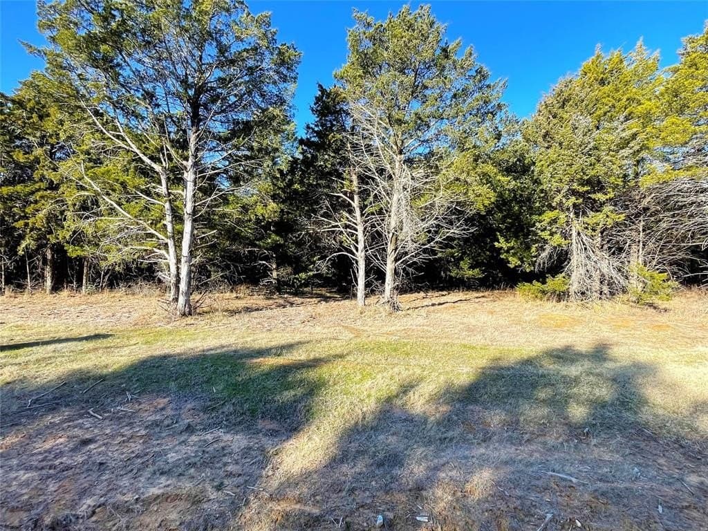 0.23 acres in Grayson County gallery image 3