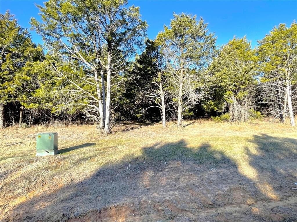 0.23 acres in Grayson County gallery image 2