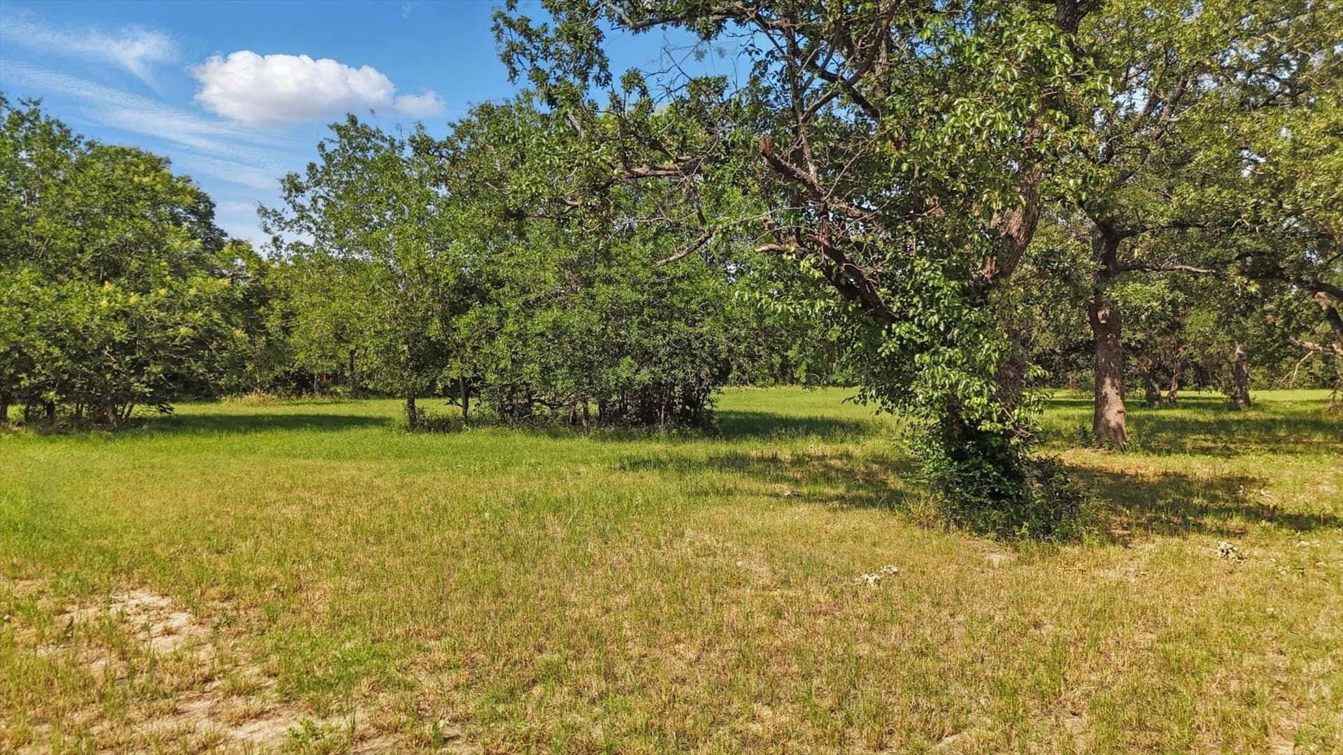 1 acres in Denton County gallery image 4