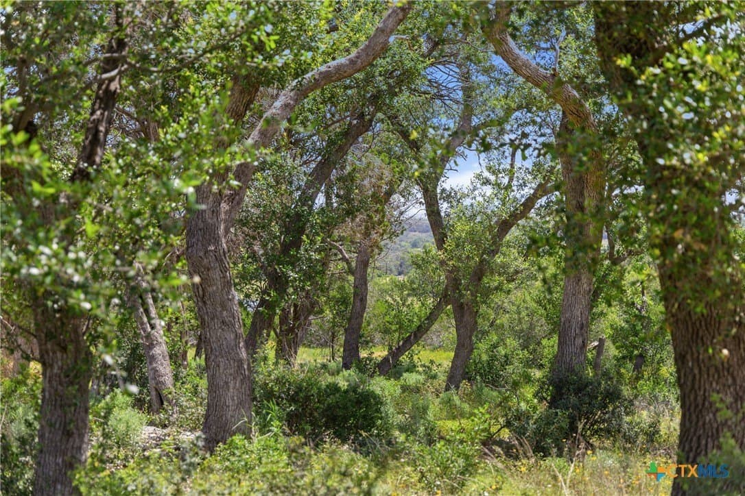 3.17 acres in Comal County featured view
