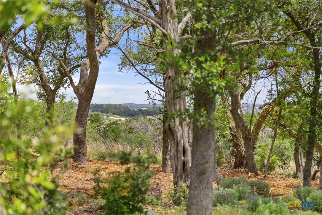 3.17 acres in Comal County gallery image 2