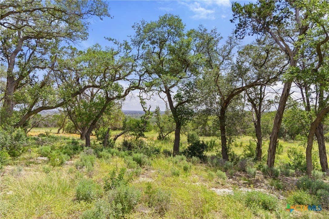 3.17 acres in Comal County gallery image 3