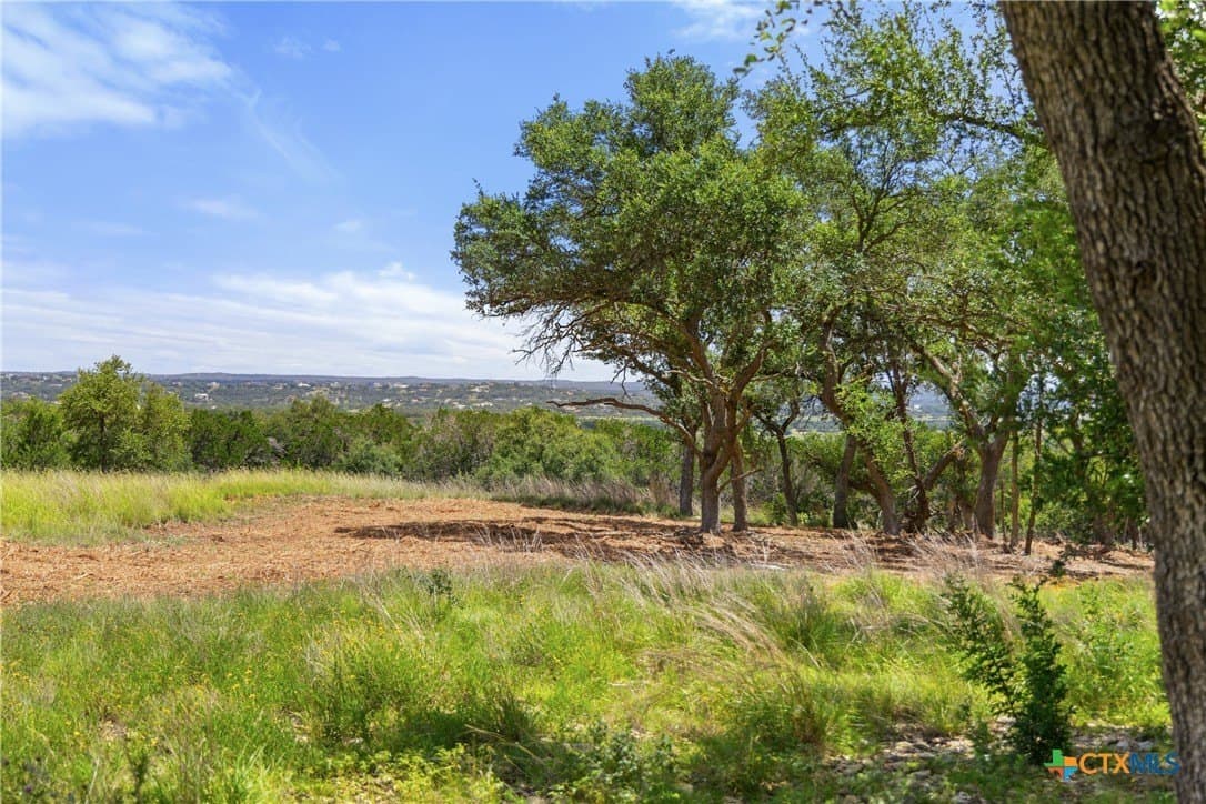 3.17 acres in Comal County gallery image 4