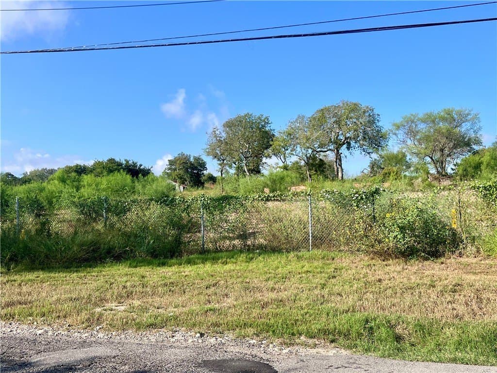 8 acres in Nueces County gallery image 3
