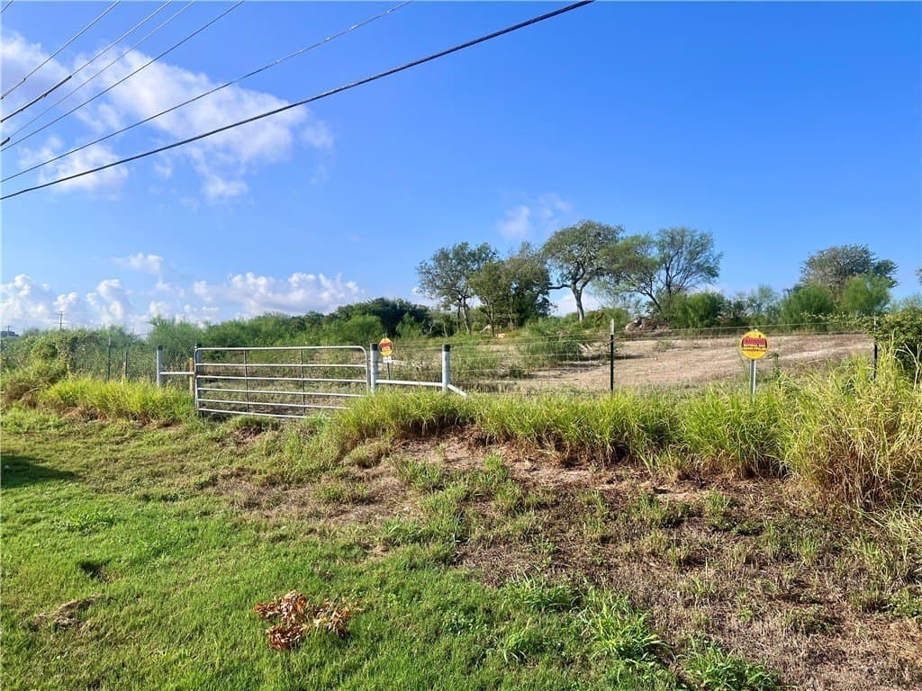 8 acres in Nueces County gallery image 4