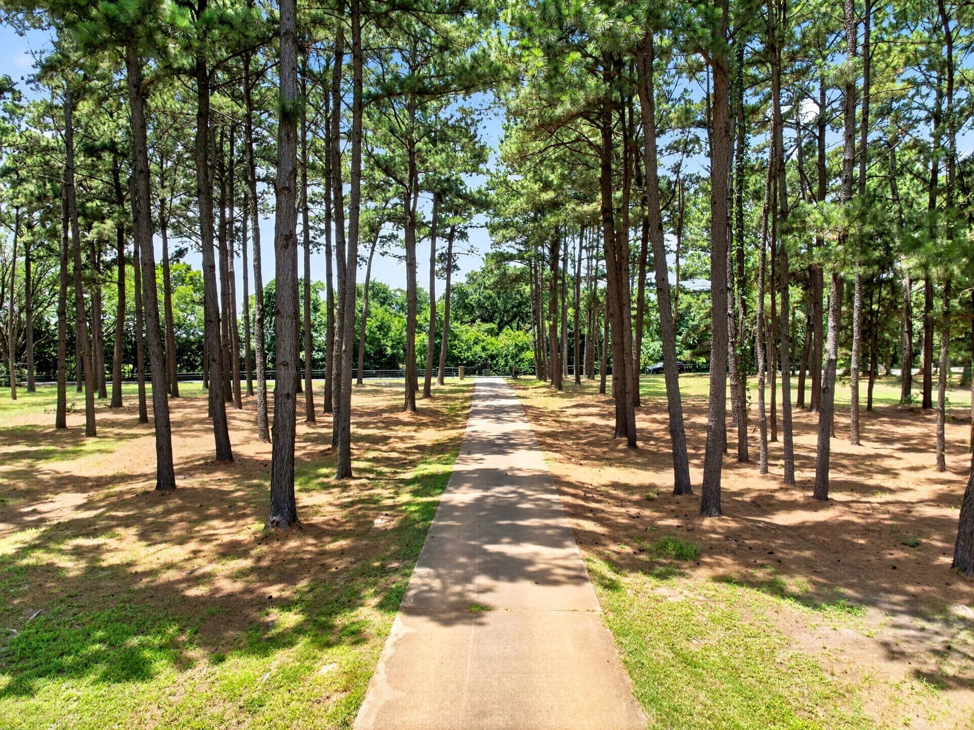12.5 acres in Henderson County gallery image 2