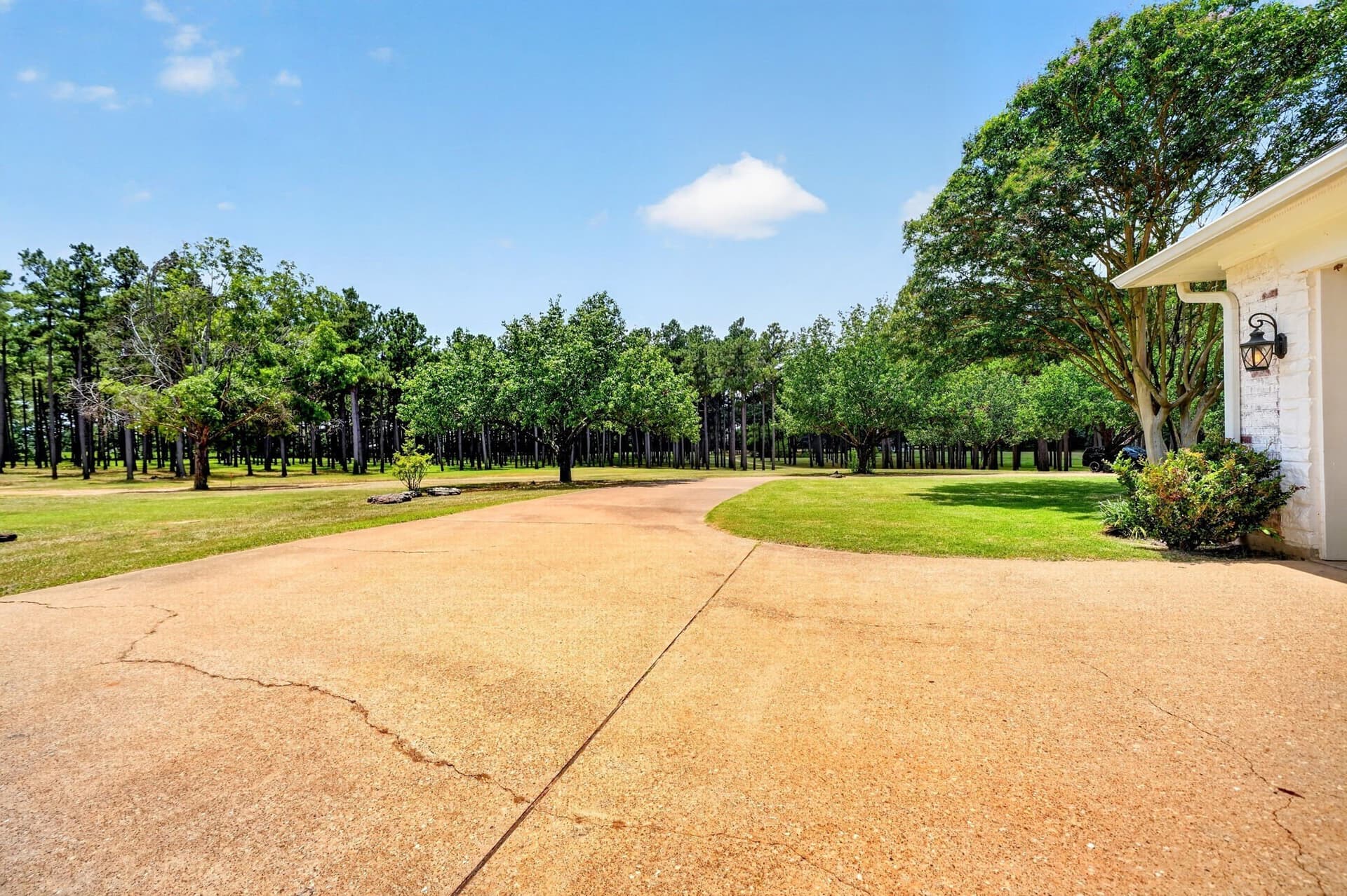 12.5 acres in Henderson County - photo 36