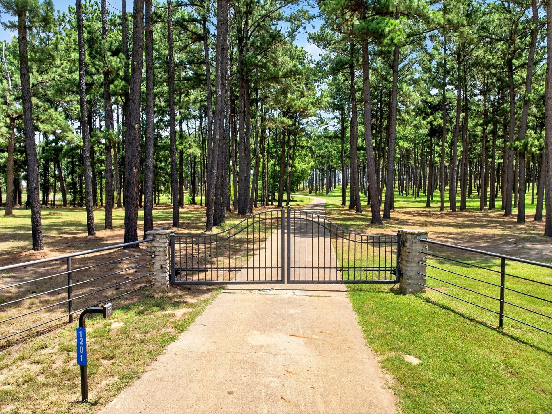 12.5 acres in Henderson County gallery image 3