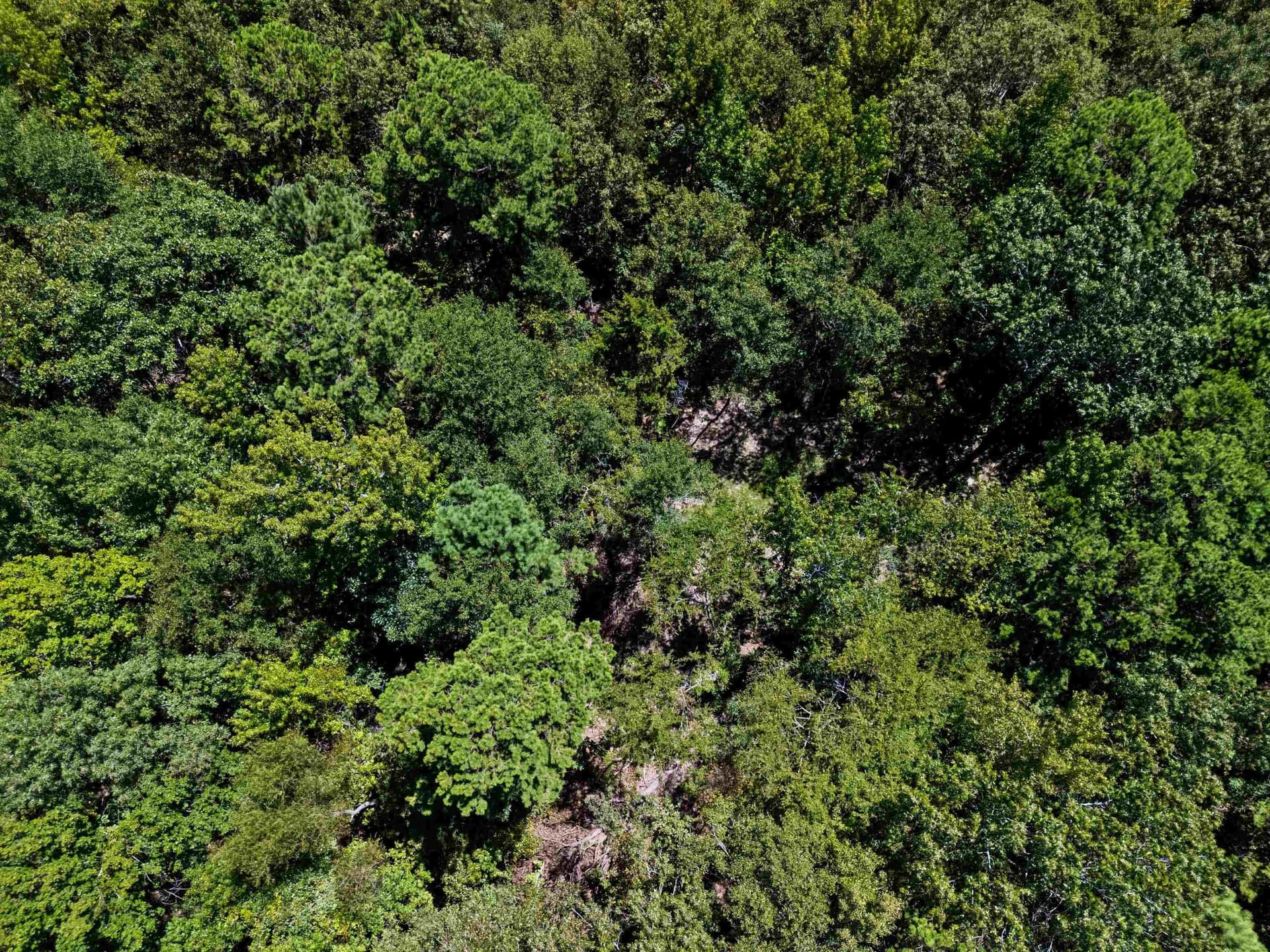 7.14 acres in Texas County - photo 13