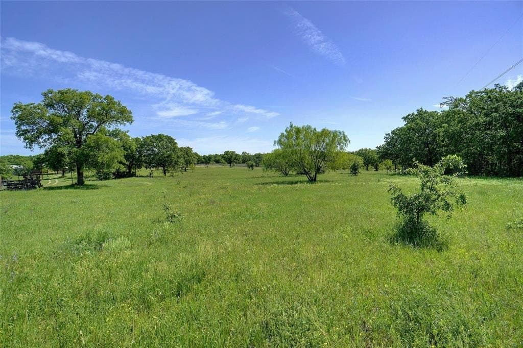 20.93 acres in Wise County gallery image 3