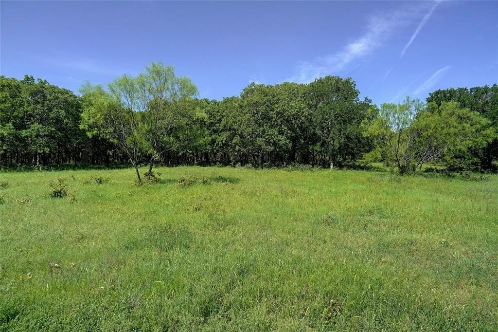 20.93 acres in Wise County gallery image 2