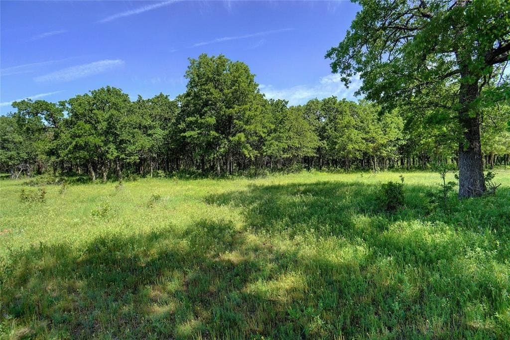 20.93 acres in Wise County gallery image 4
