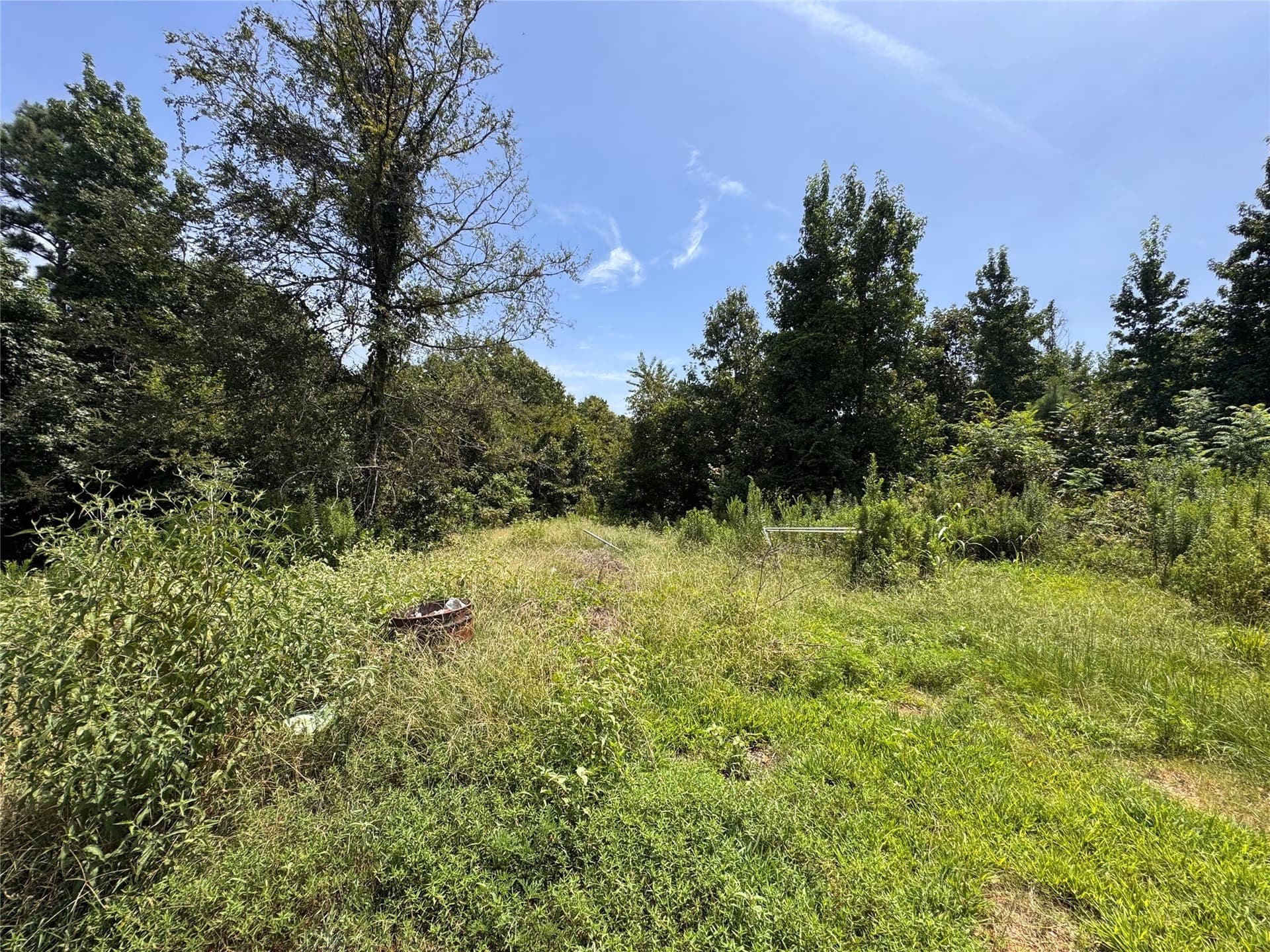15.99 acres in Marion County - photo 11