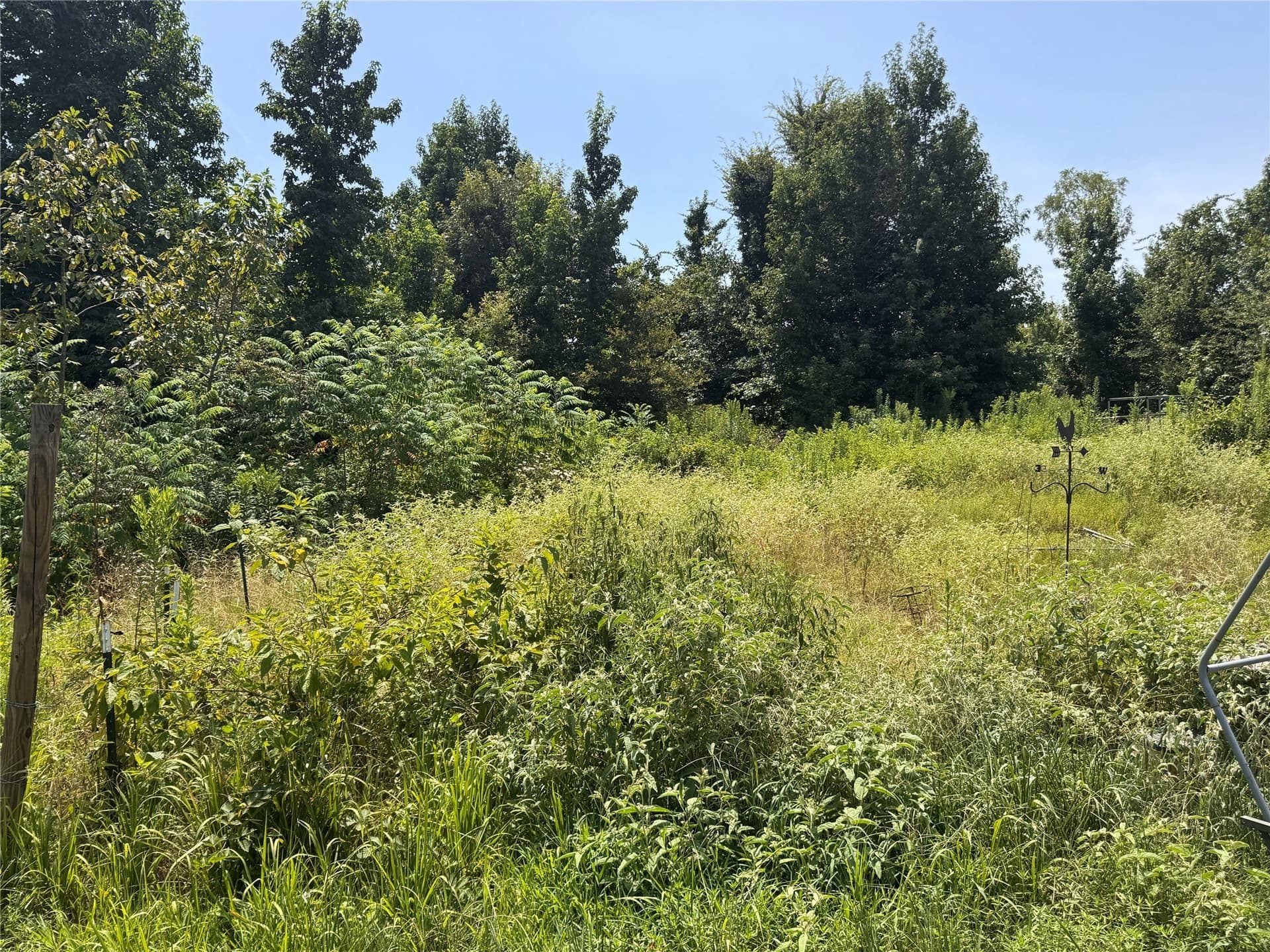 15.99 acres in Marion County - photo 10