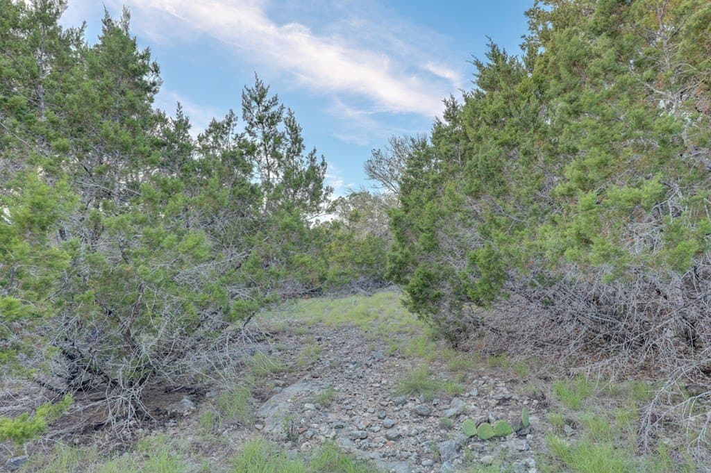 16.12 acres in Kerr County - photo 19