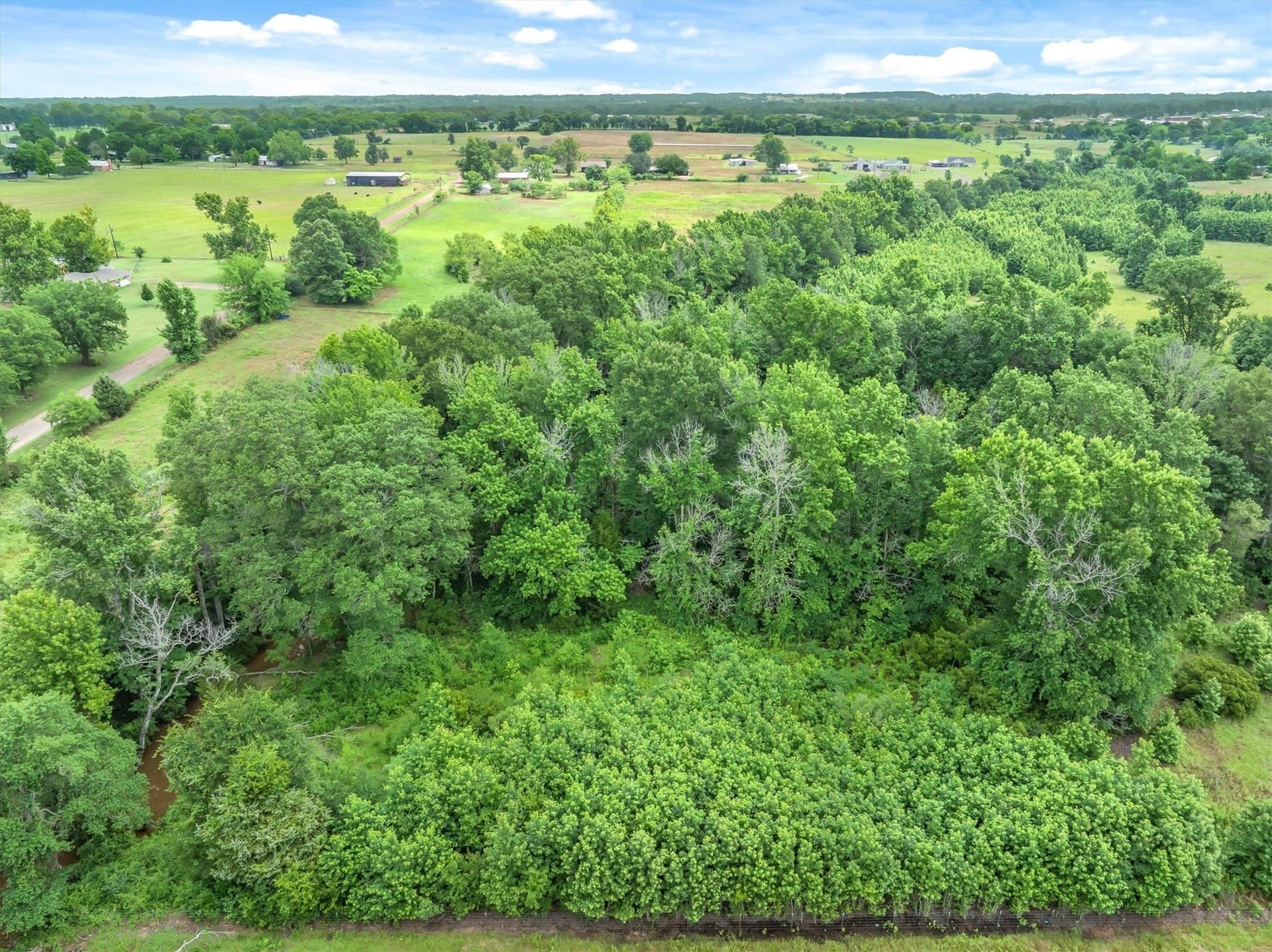 12 acres in Van Zandt County - photo 12