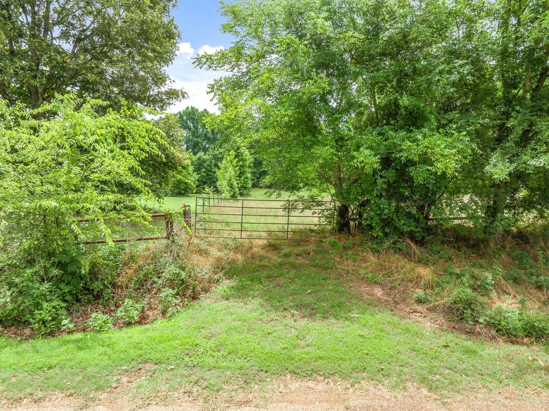 12 acres in Van Zandt County - photo 13