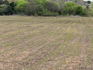 55 acres in McLennan County - photo 9