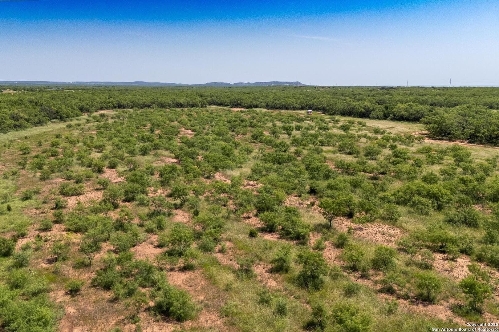 85.35 acres in Taylor County - photo 39
