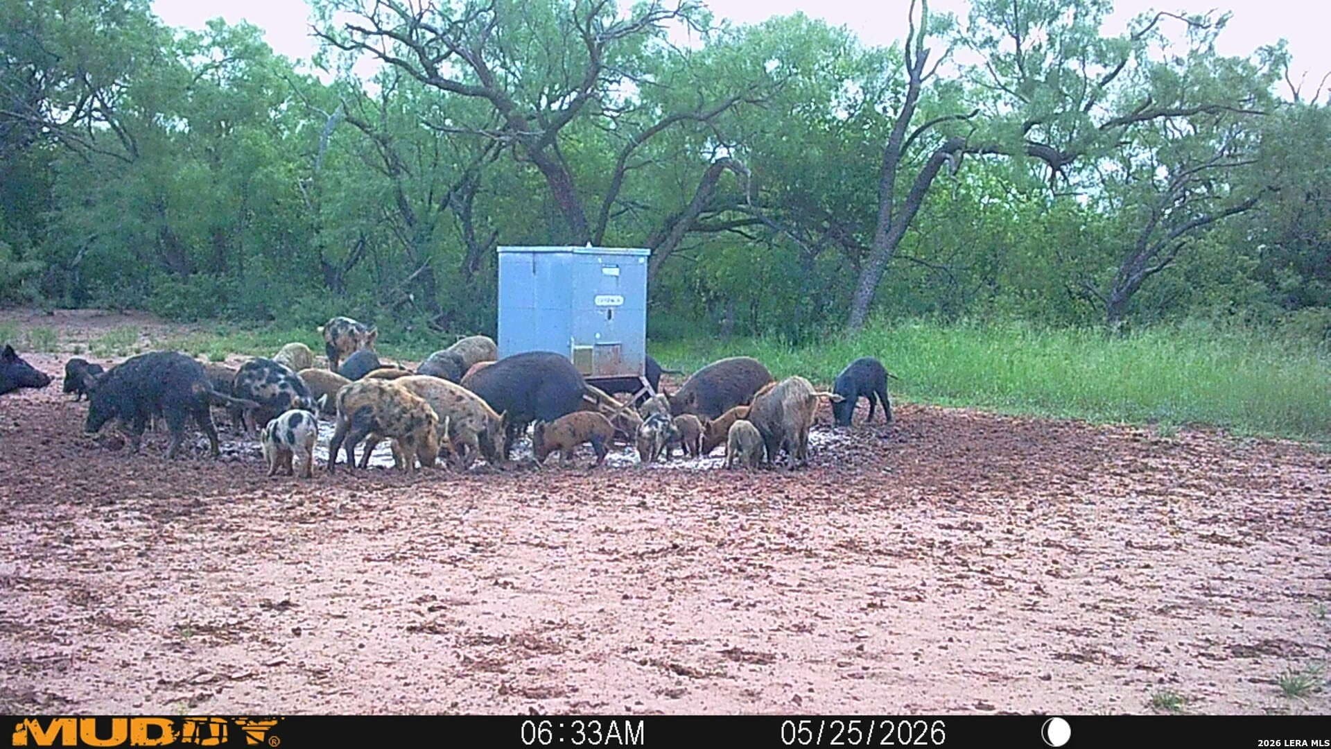 85.35 acres in Taylor County - photo 6