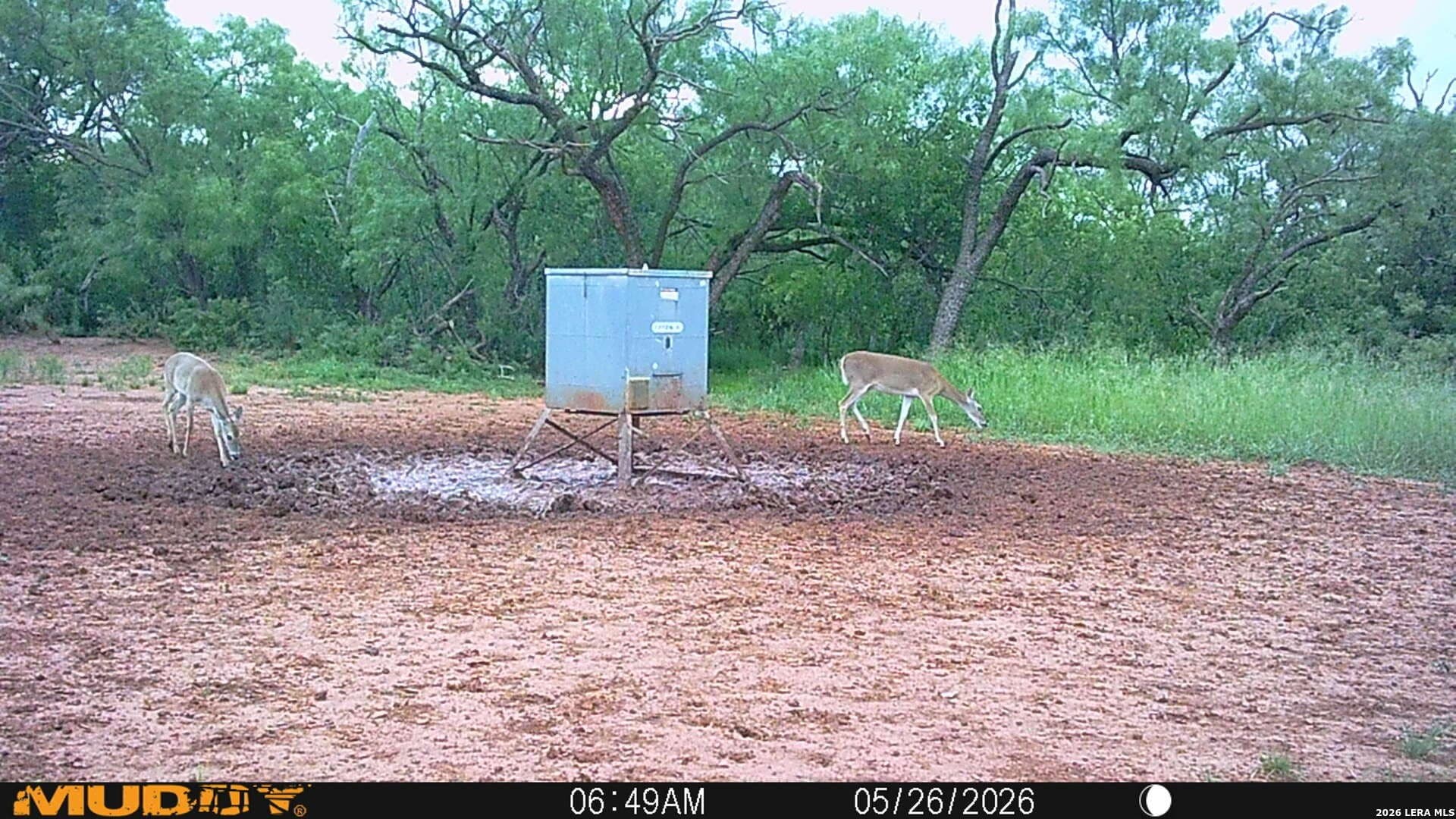 85.35 acres in Taylor County - photo 8
