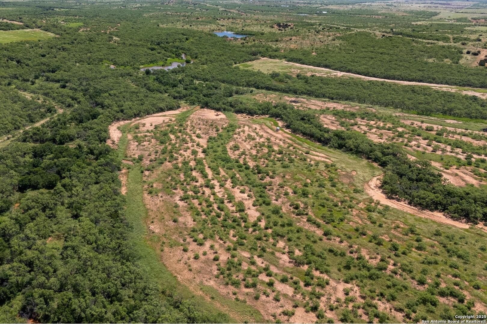 85.35 acres in Taylor County - photo 33