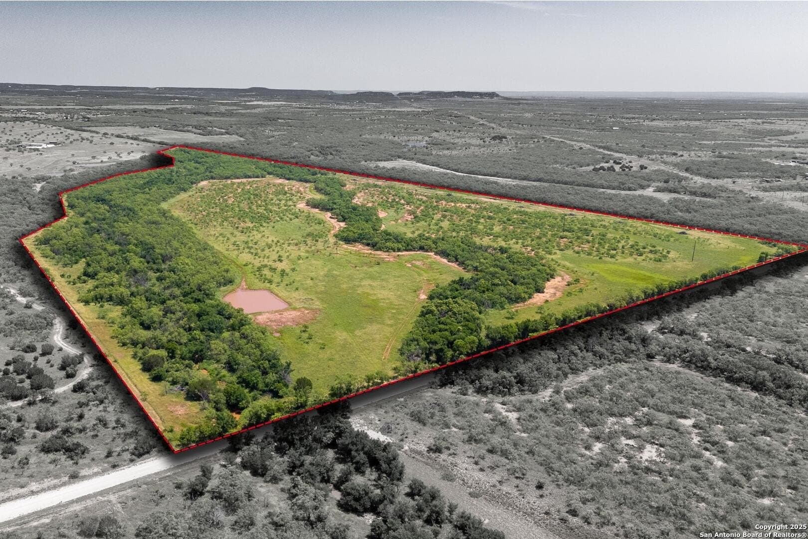 85.35 acres in Taylor County