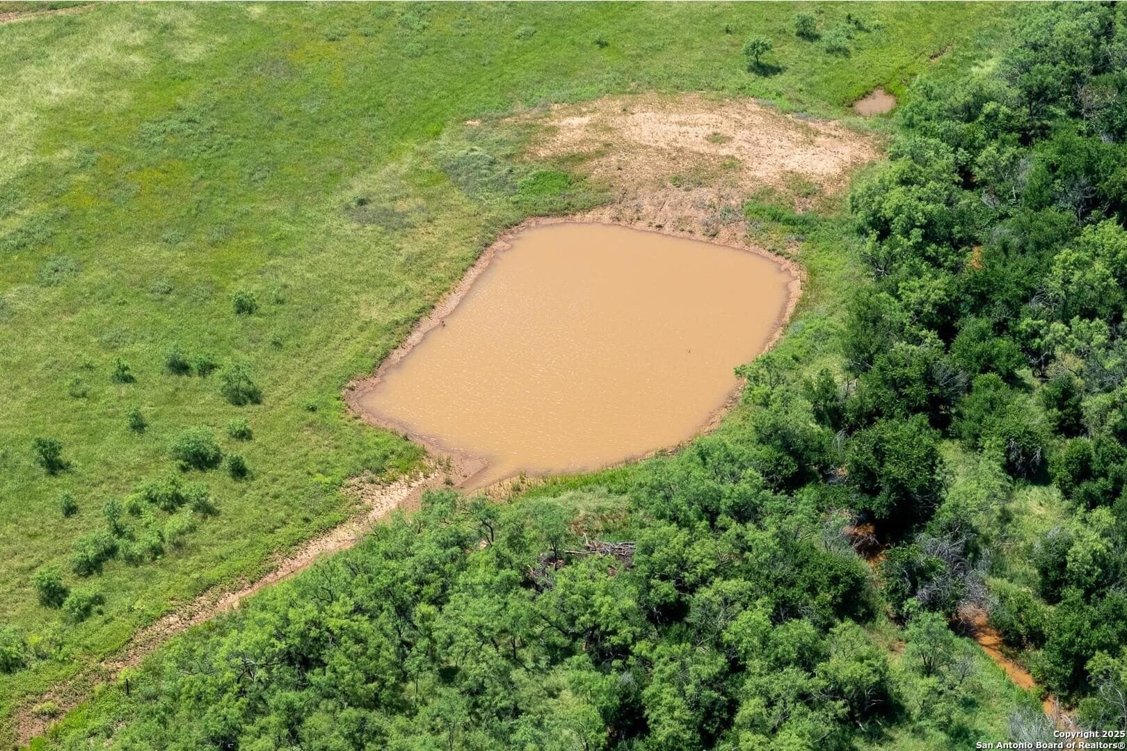 85.35 acres in Taylor County - photo 17