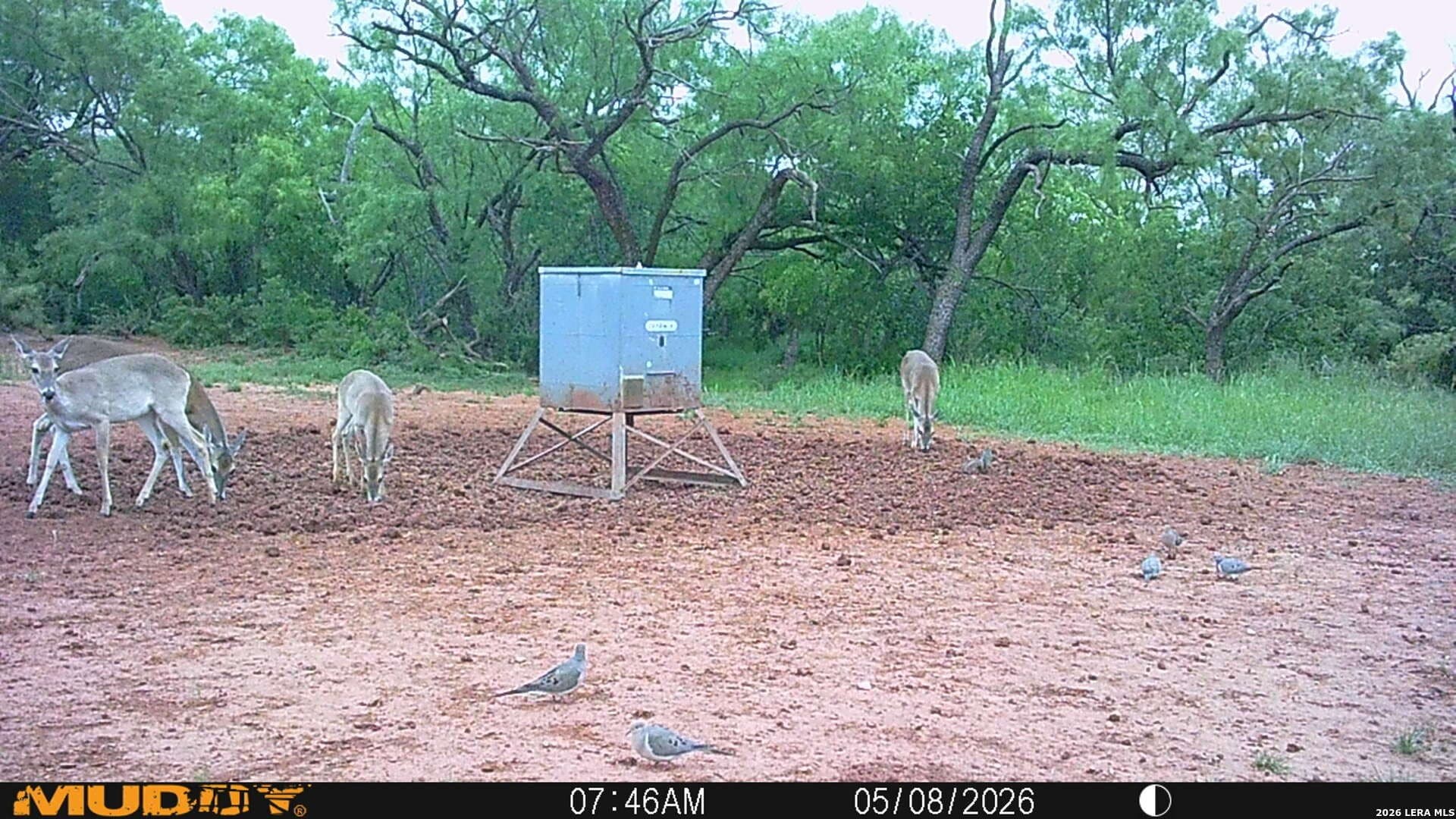 85.35 acres in Taylor County - photo 7