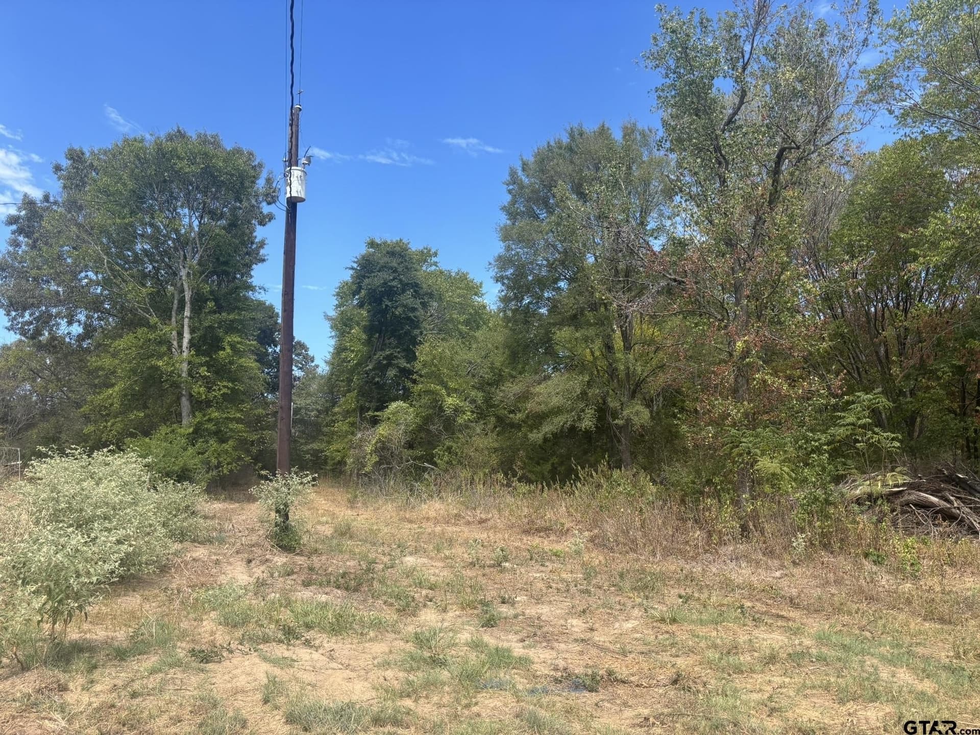 10 acres in Camp County