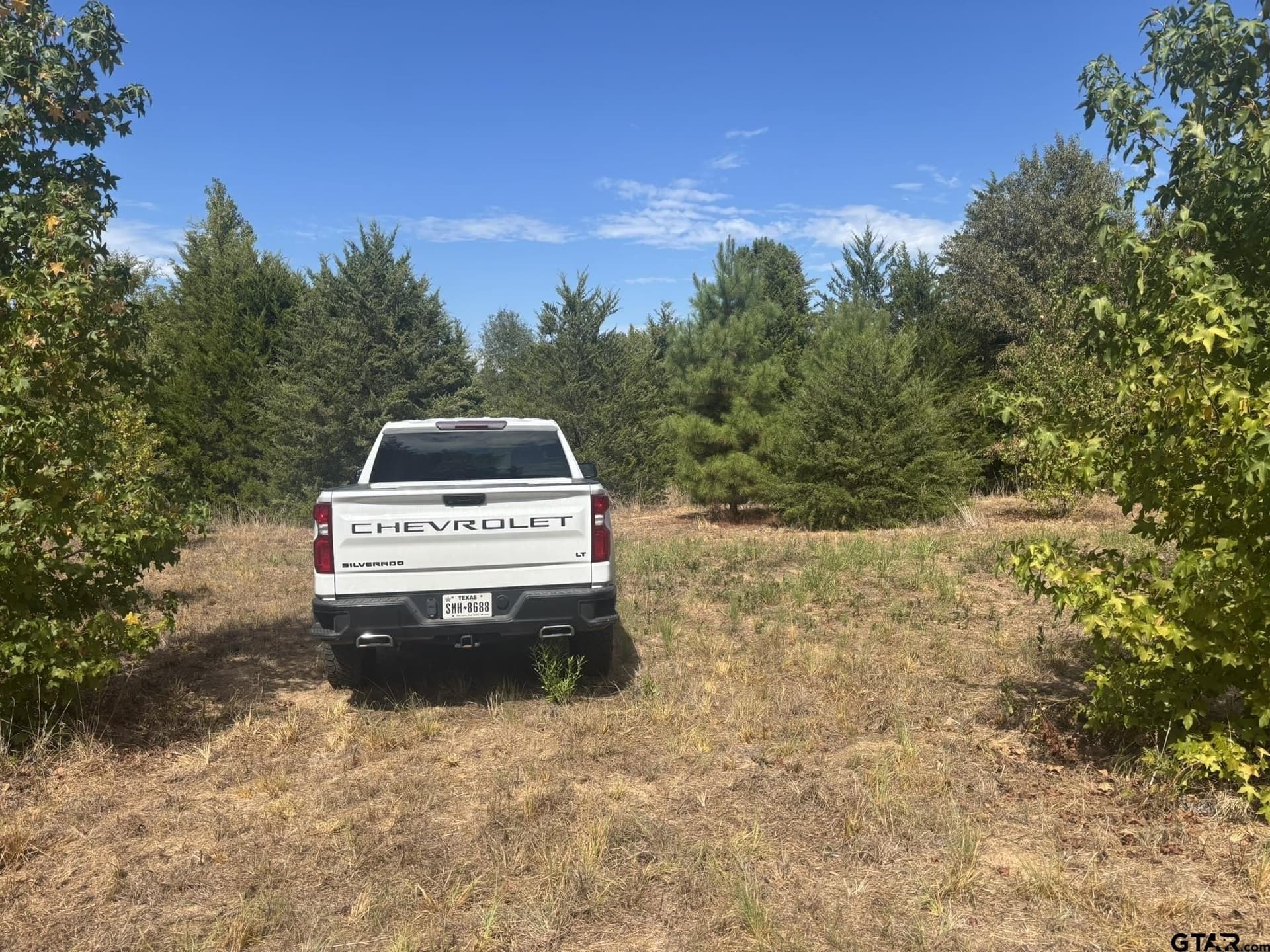 10 acres in Camp County - photo 7