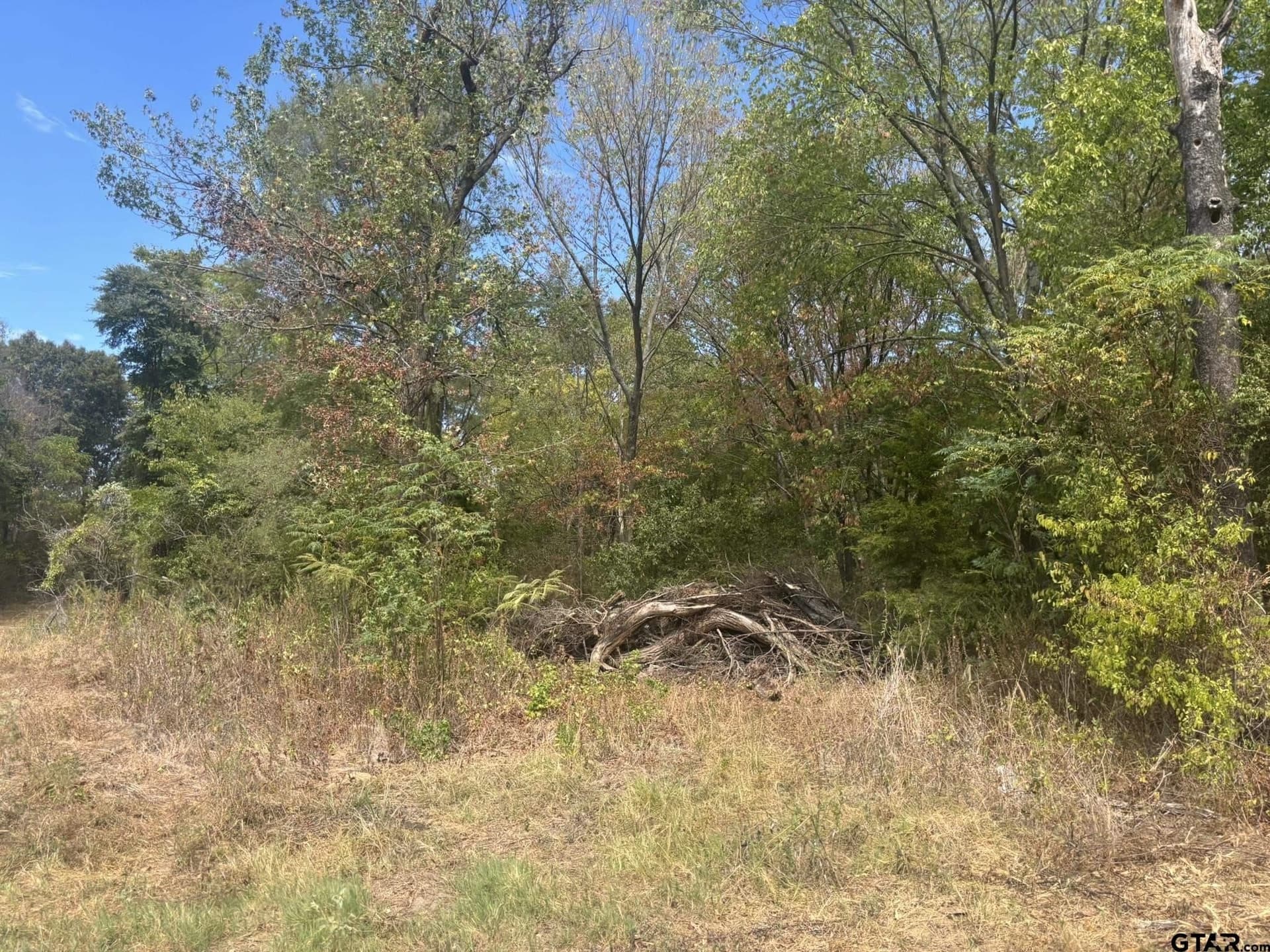 10 acres in Camp County - photo 3
