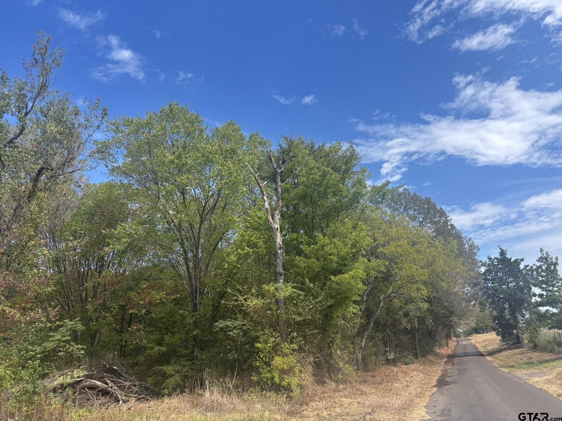 10 acres in Camp County - photo 2