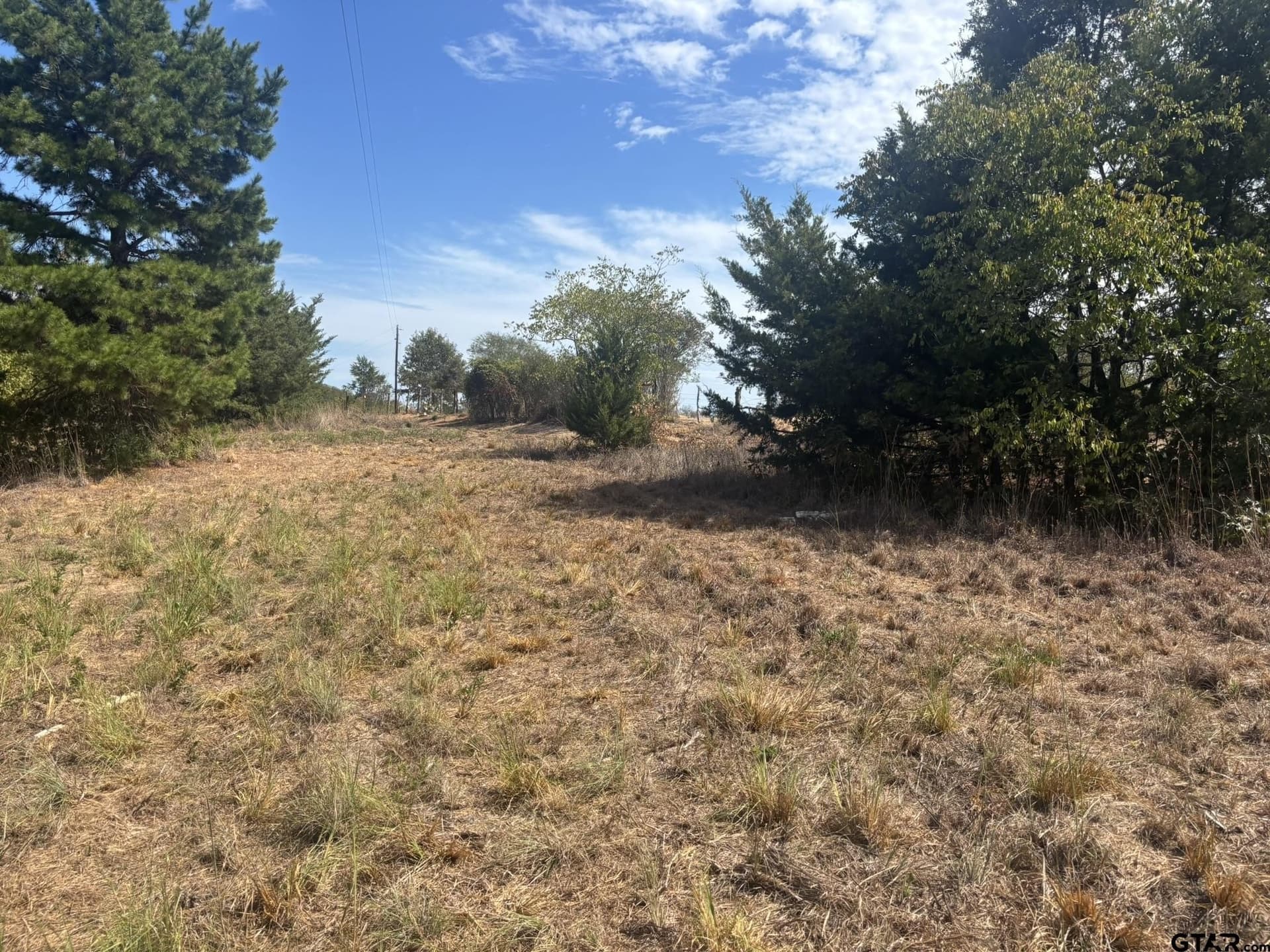 10 acres in Camp County - photo 6