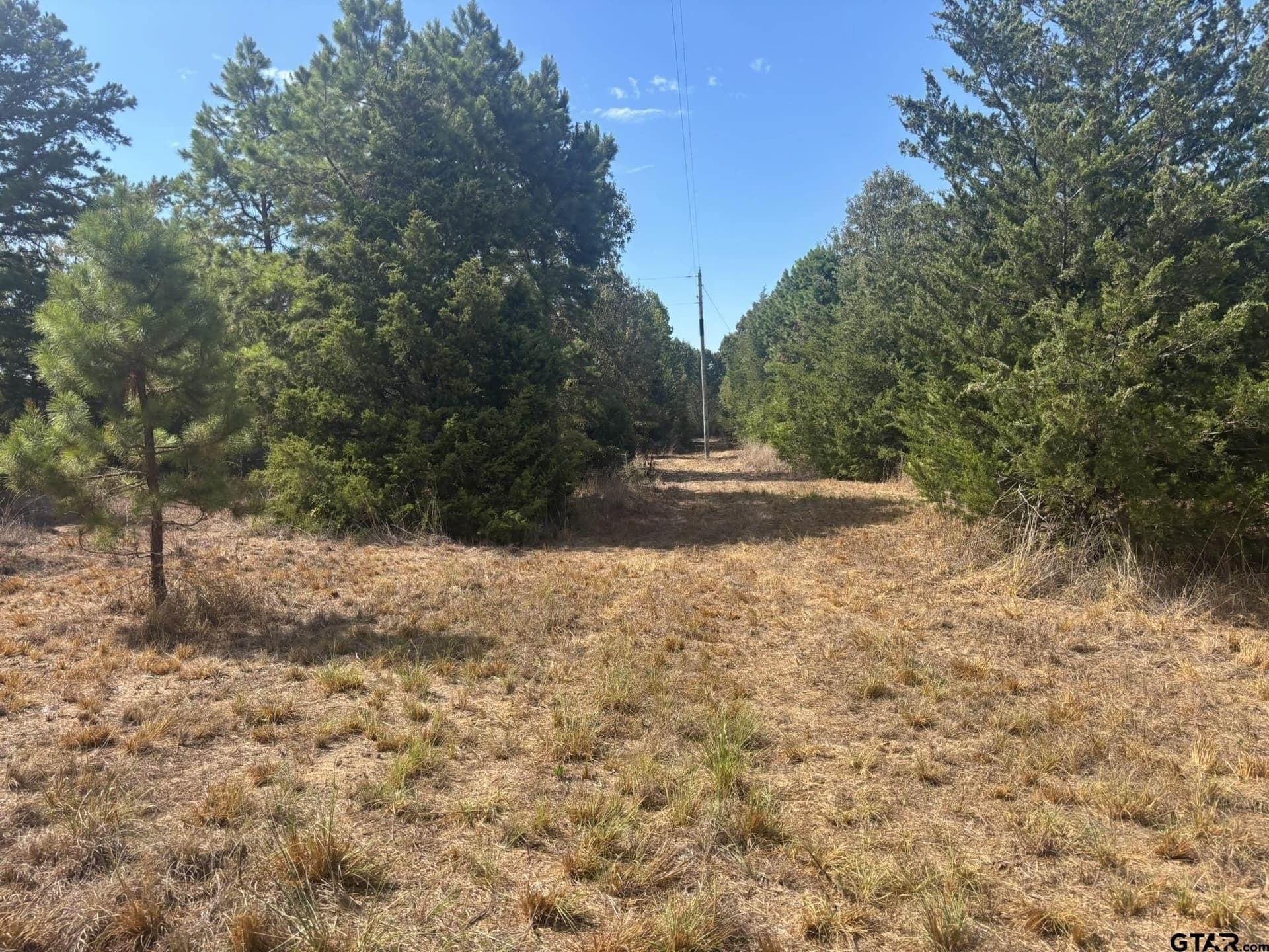 10 acres in Camp County - photo 5