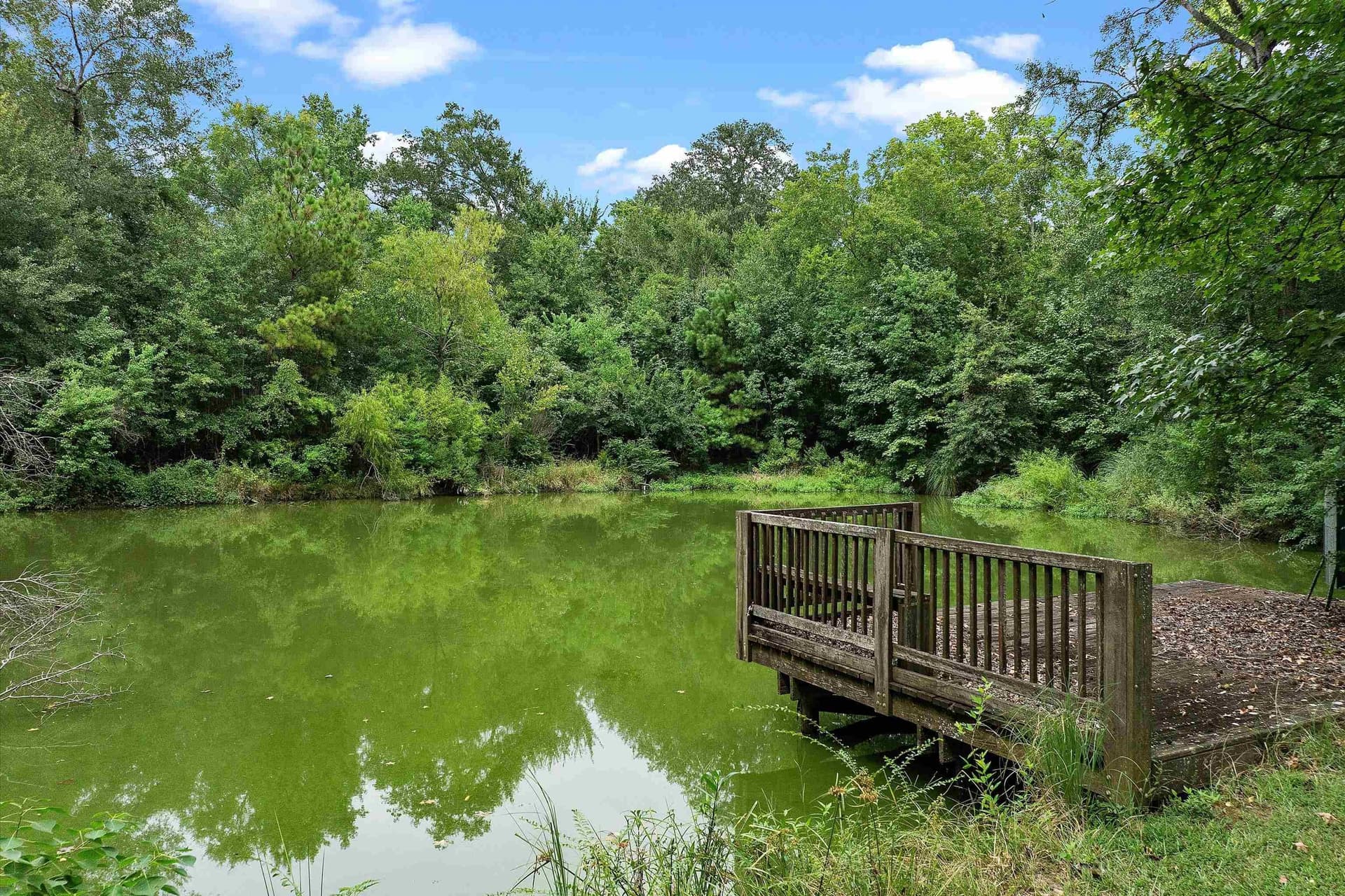 20.5 acres in Panola County - photo 49