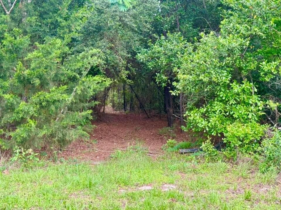 33.7 acres in Texas County