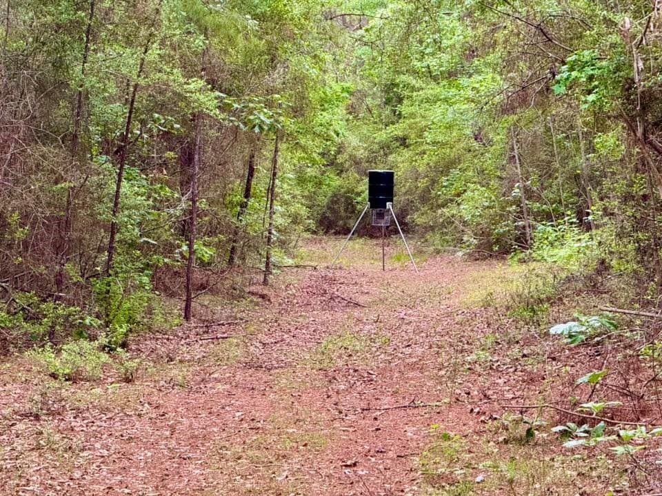 33.7 acres in Texas County gallery image 4