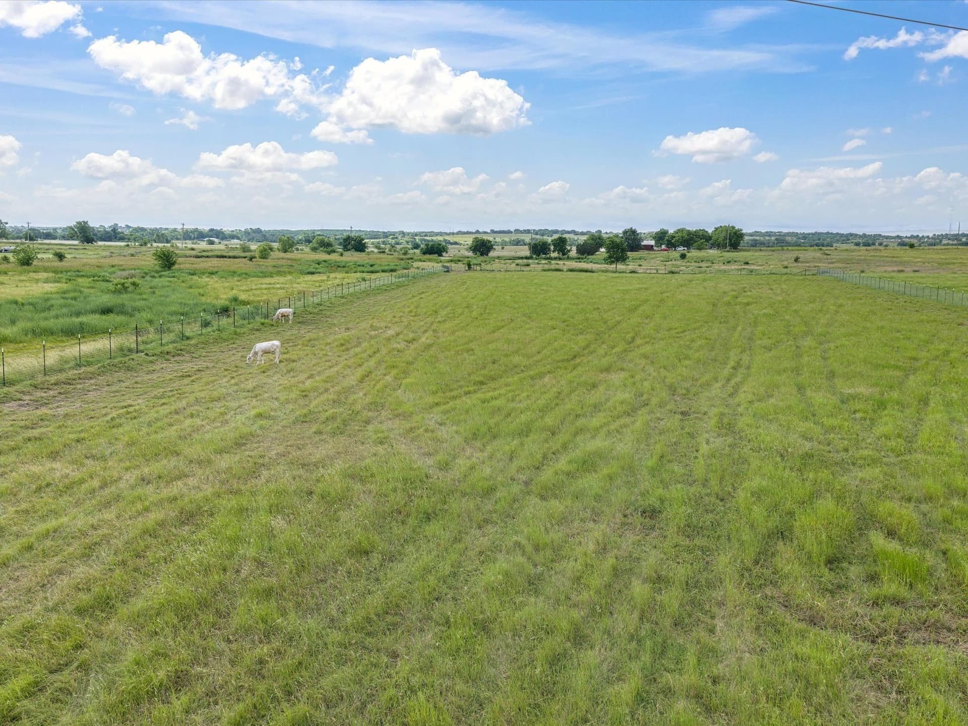 11 acres in Johnson County gallery image 4